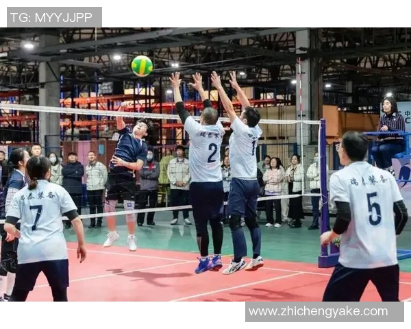 聚焦杭州排球队个人能力提升与团队协作的完美结合